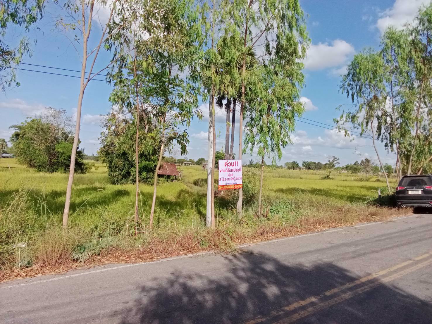 ด่วน-ขายที่ดินสวยเหมาะทำโคกหนองนา-อเมือง-จร้อยเอ็ด