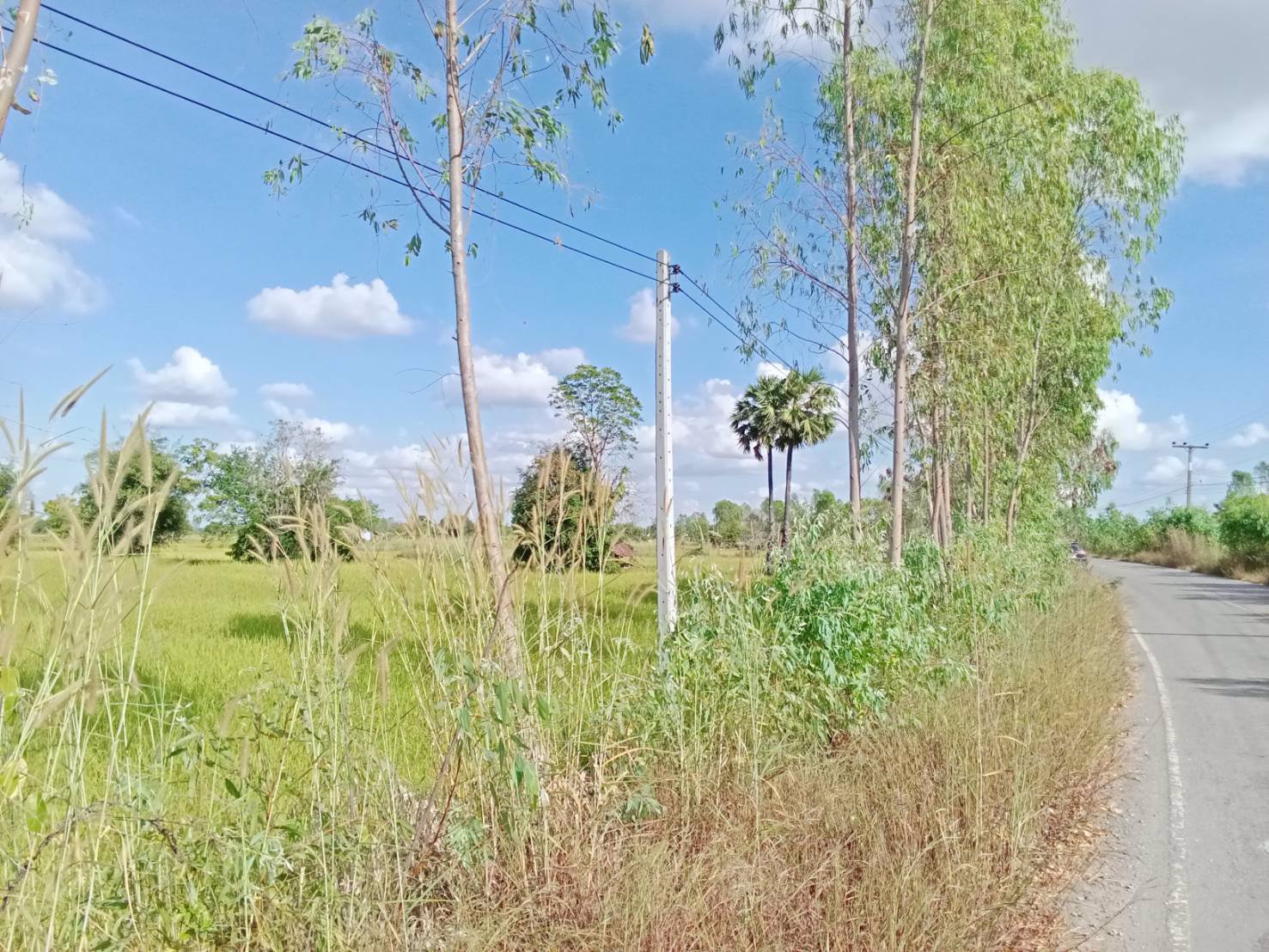 ด่วน-ขายที่ดินสวยเหมาะทำโคกหนองนา-อเมือง-จร้อยเอ็ด