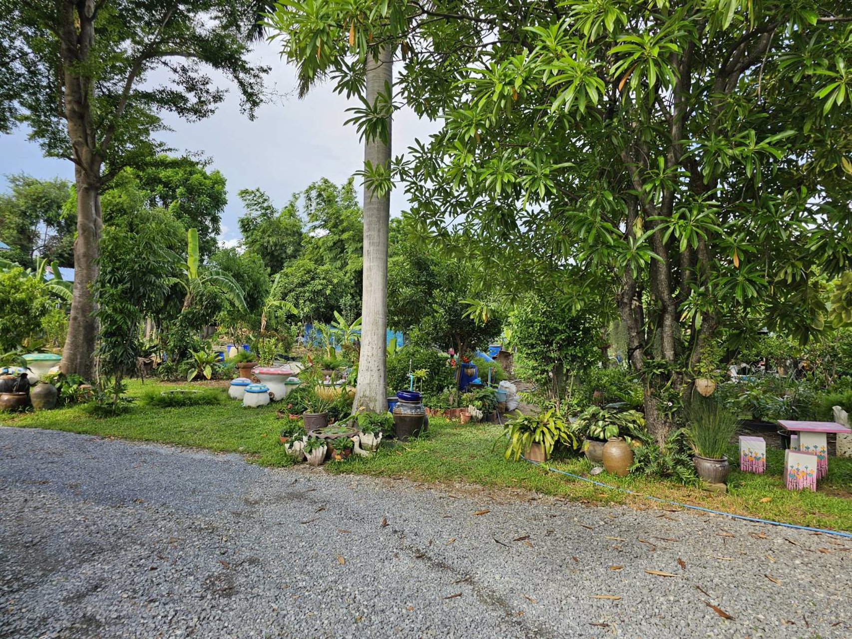 ขายที่ดินเปล่าถมแล้วเพชรเกษม88-สาย2