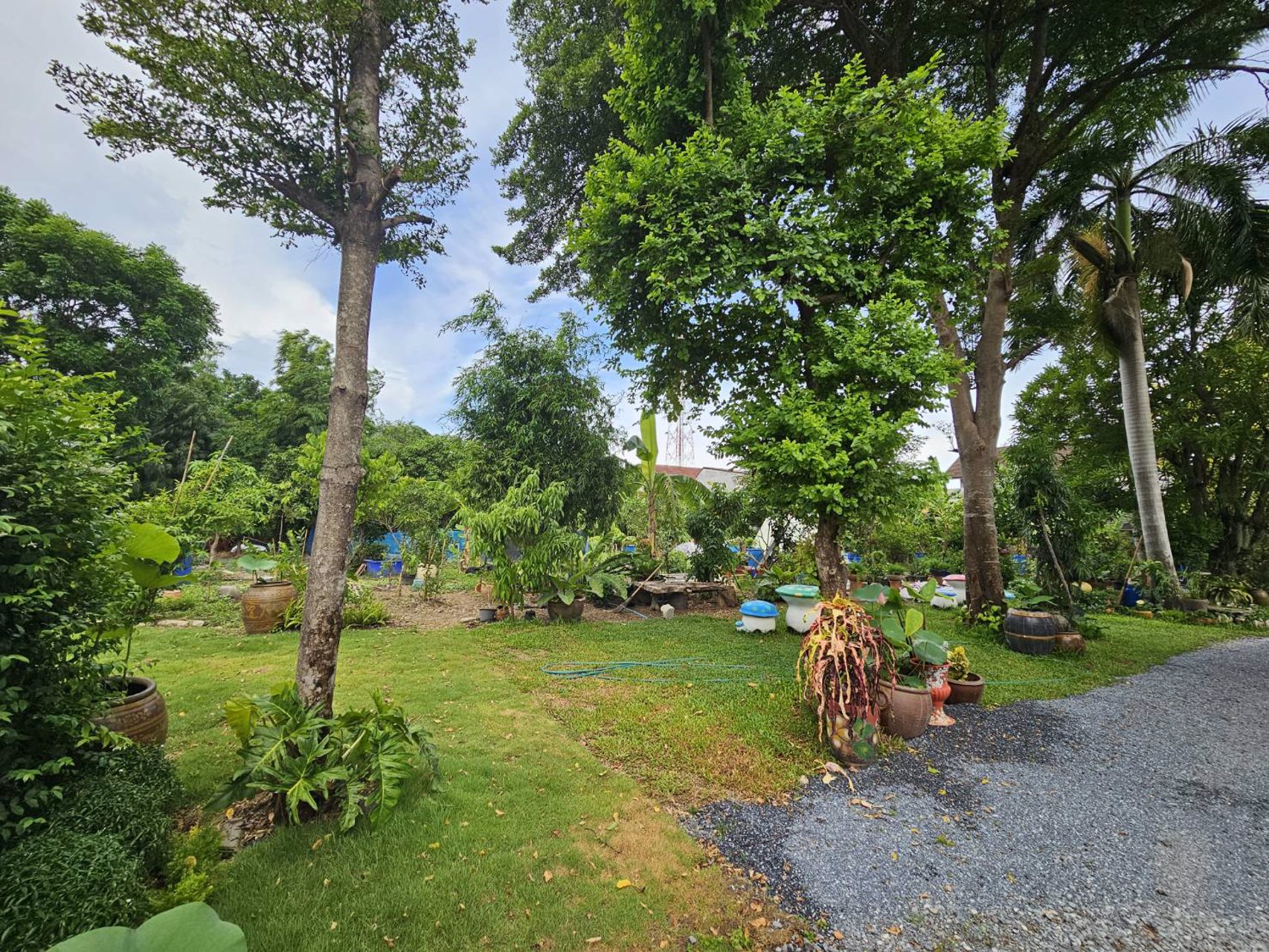 ขายที่ดินเปล่าถมแล้วเพชรเกษม88-สาย2