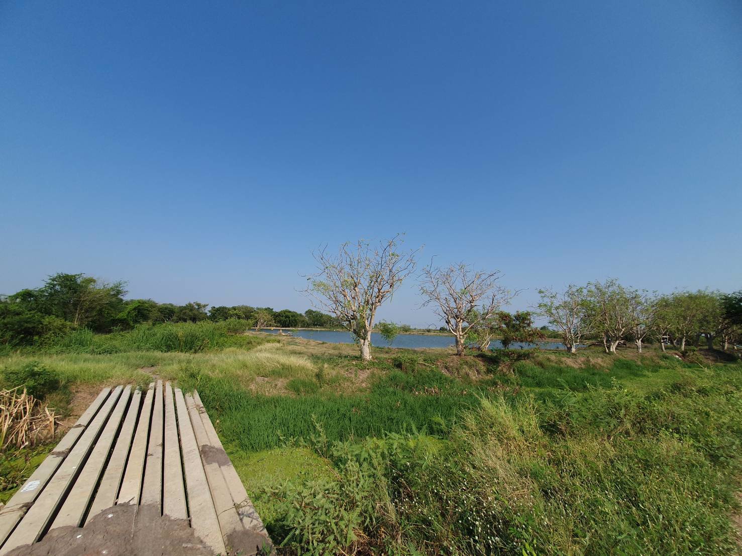 ขายที่ดินข้างศูนย์ราชการใหม่ของนครปฐม-ราคาถูกสุดในย่านนี้ทำเลทอง