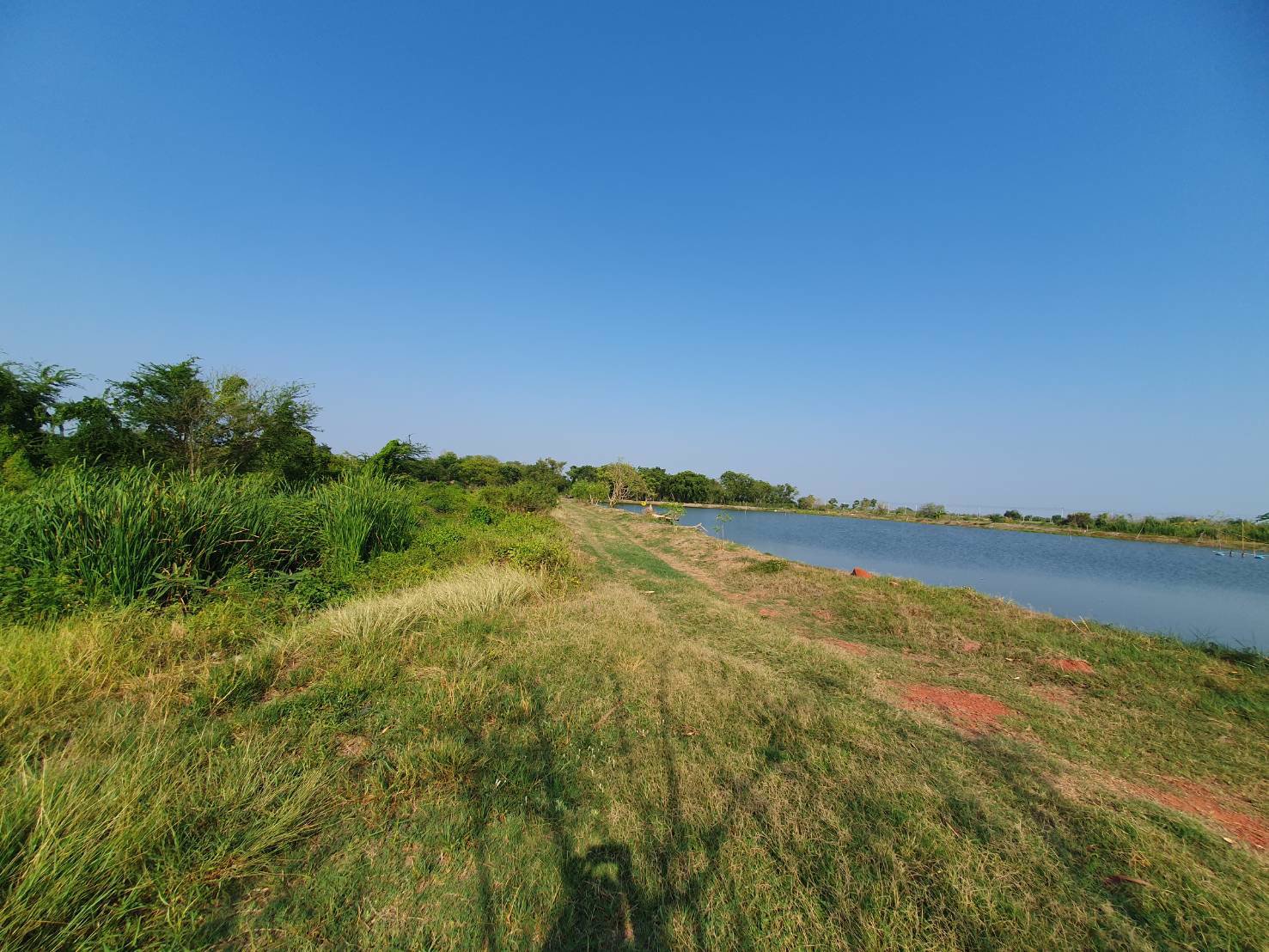 ขายที่ดินข้างศูนย์ราชการใหม่ของนครปฐม-ราคาถูกสุดในย่านนี้ทำเลทอง