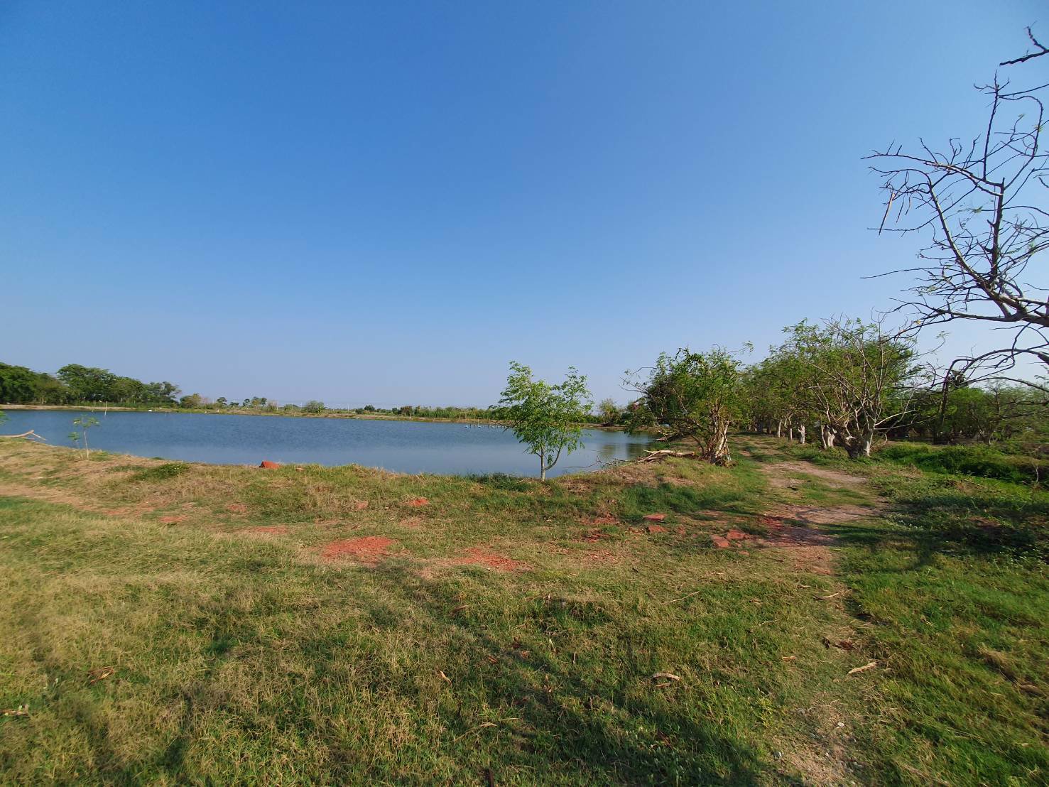 ขายที่ดินข้างศูนย์ราชการใหม่ของนครปฐม-ราคาถูกสุดในย่านนี้ทำเลทอง