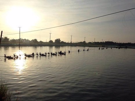 ขายที่ดิน-62-ไร่-37-ตรว-พร้อมสิ่งปลูกสร้าง-ไร่ละ-9-แสนบาท