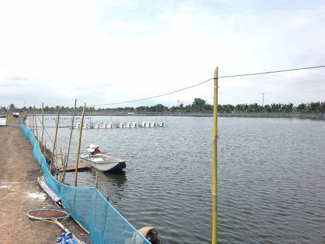 ขายที่ดิน-62-ไร่-37-ตรว-พร้อมสิ่งปลูกสร้าง-ไร่ละ-9-แสนบาท