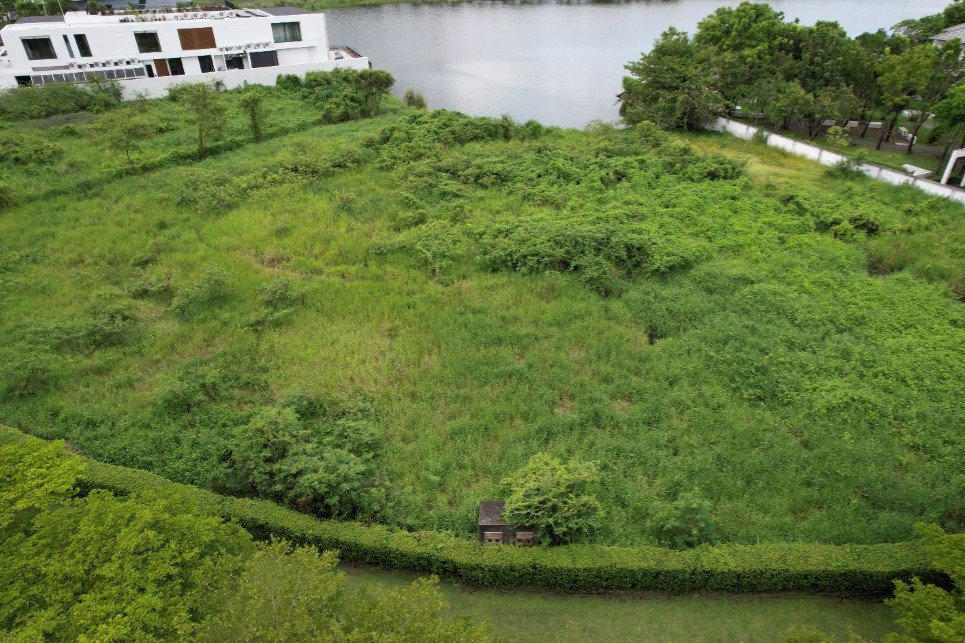 ขายที่ดินติดทะเลสาบ-ในโครงการบลูลากูน-ที่ดินเปล่าถมแล้ว-เหมาะสร้างคฤหาสน์หรู