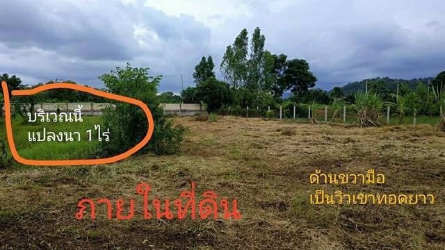 ขายที่ดิน8ไร่อำเภอเมืองจังหวัดนครนายก-โฉนด-นส4จ-ขายราคาต้นทุน
