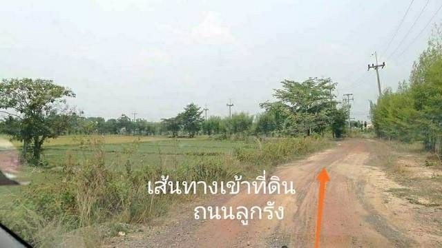 ขายที่ดิน8ไร่อำเภอเมืองจังหวัดนครนายก-โฉนด-นส4จ-ใกล้ศูนย์การเรียนรู้ภูกะเหรี่ยง