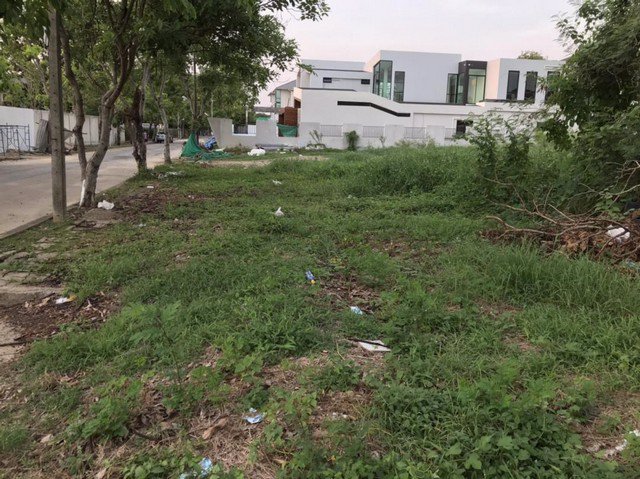 ขายที่ดินเนื้อที่-304-ตรวหมู่บ้านงามทวีการ์เด้นท์ตลิ่งชัน-ซอยบางระมาด9-ใกล้ถนนกาญจนาภิเษก