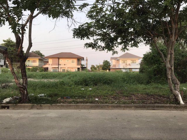 ขายที่ดินเนื้อที่-304-ตรวหมู่บ้านงามทวีการ์เด้นท์ตลิ่งชัน-ซอยบางระมาด9-ใกล้ถนนกาญจนาภิเษก