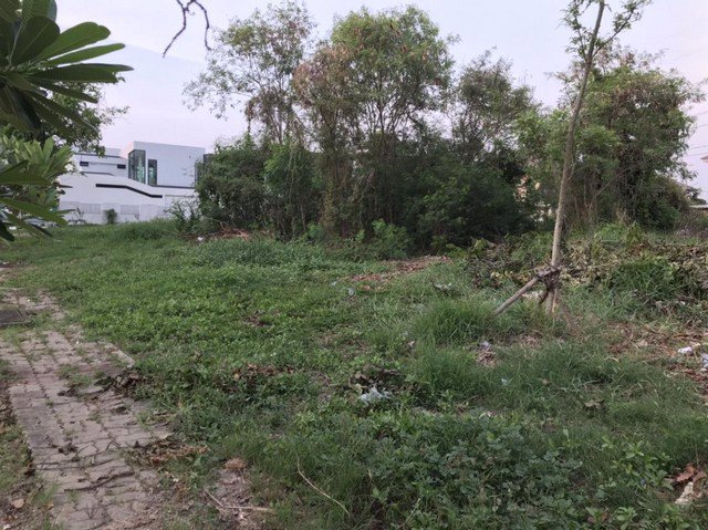 ขายที่ดินเนื้อที่-304-ตรวหมู่บ้านงามทวีการ์เด้นท์ตลิ่งชัน-ซอยบางระมาด9-ใกล้ถนนกาญจนาภิเษก