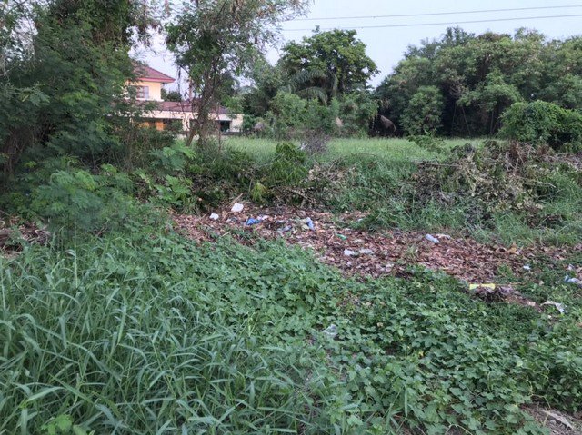 ขายที่ดินเนื้อที่-304-ตรวหมู่บ้านงามทวีการ์เด้นท์ตลิ่งชัน-ซอยบางระมาด9-ใกล้ถนนกาญจนาภิเษก