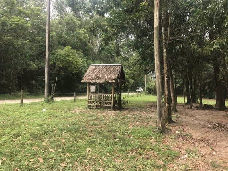 ขายด่วนที่ดินพังงาใกล้-อบตบางม่วงห่างถนนเพชรเกษมเพียง200ม-เนื้อที่-8-ไร่เศษ-ขายราคาพิเศษ