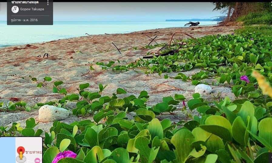 ขายด่วนที่ดินพังงาใกล้-อบตบางม่วงห่างถนนเพชรเกษมเพียง200ม-เนื้อที่-8-ไร่เศษ-ขายราคาพิเศษ