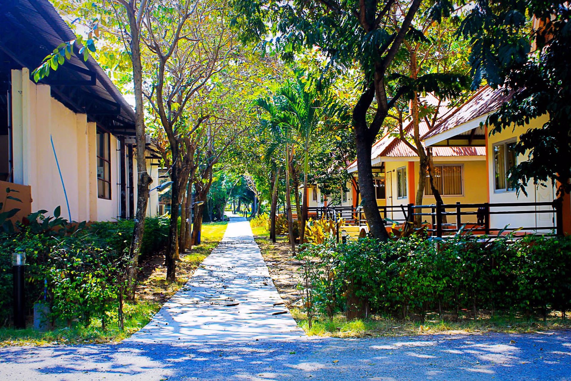 ขายไอยเรศ-รีสอร์ทพร้อมสวนผลไม้-ตวังม่วง-อวังม่วง-จสระบุรี