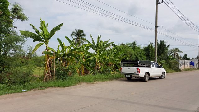 ขายที่ดิน-15-ไร่-ติดถนนบึงขวาง-ใกล้ซบึงขวาง-16-ใกล้ถนนสุวินทวงค์-ร่มเกล้า-ใกล้รถไฟฟ้าสถานีสุวินทวงค