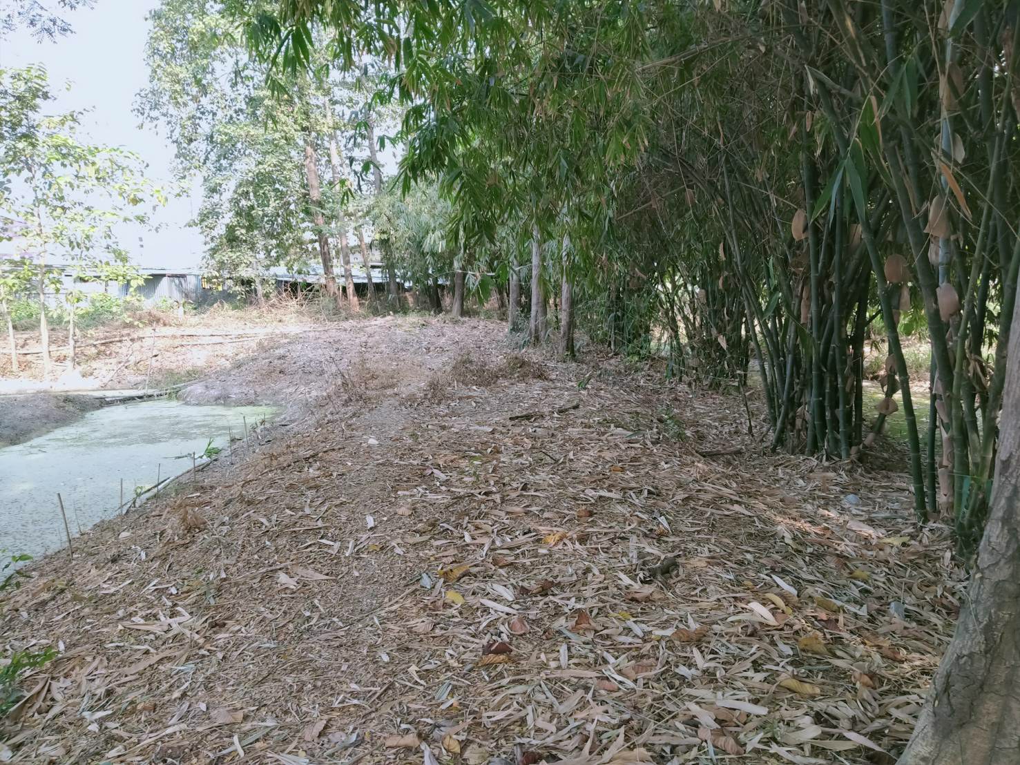 ขายที่ดิน-6-2-70ไร่-ติดถนนราชพฤกษ์-ใกล้ถนนสะพานนนทบุรี-บางบัวทอง-และ-โรงพยาบาลปากเกร็ด2