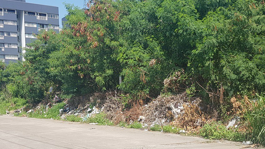 ขายที่ดิน-424-ตรว-ติดถนนพัฒนาการ78-ใกล้ถนนพัฒนาการตัดใหม่-และถนนอ่อนนุช