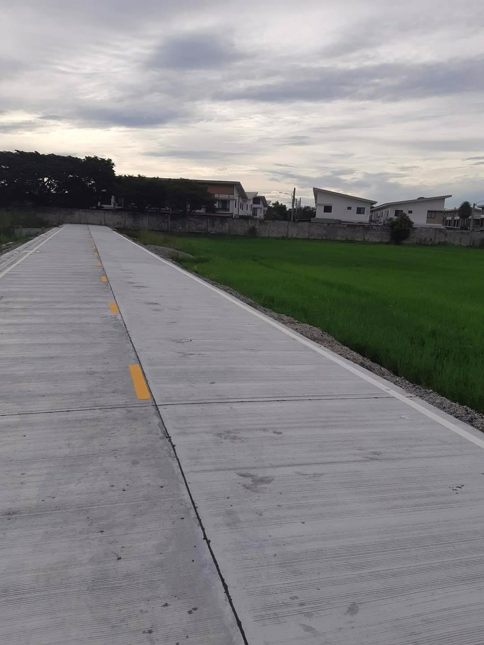 ขายที่ดิน-600-ตรว-ซอยบางนาการ์เด้น-ถนนบางนา-ตราด-กม26-อบางเสาธง-จ-สมุทรปราการ-ใกล้-abac-bangna