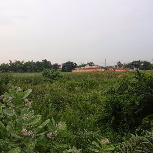 ขายที่ดิน-36-ไร่-ติดถนนพหลโยธิน-ใกล้โรงพยาบาลหนองแค-อหนองแค-จสระบุรี