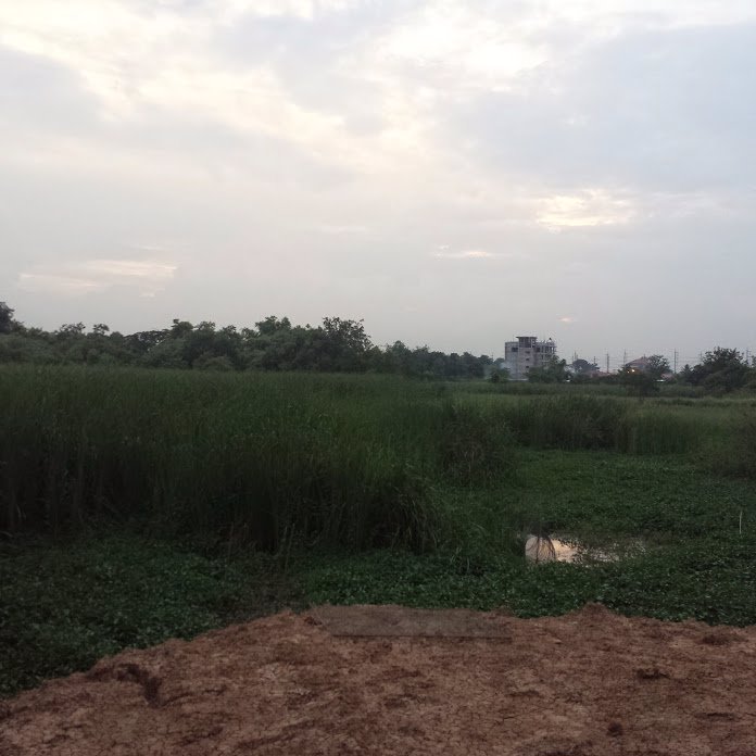 ขายที่ดิน-36-ไร่-ติดถนนพหลโยธิน-ใกล้โรงพยาบาลหนองแค-อหนองแค-จสระบุรี