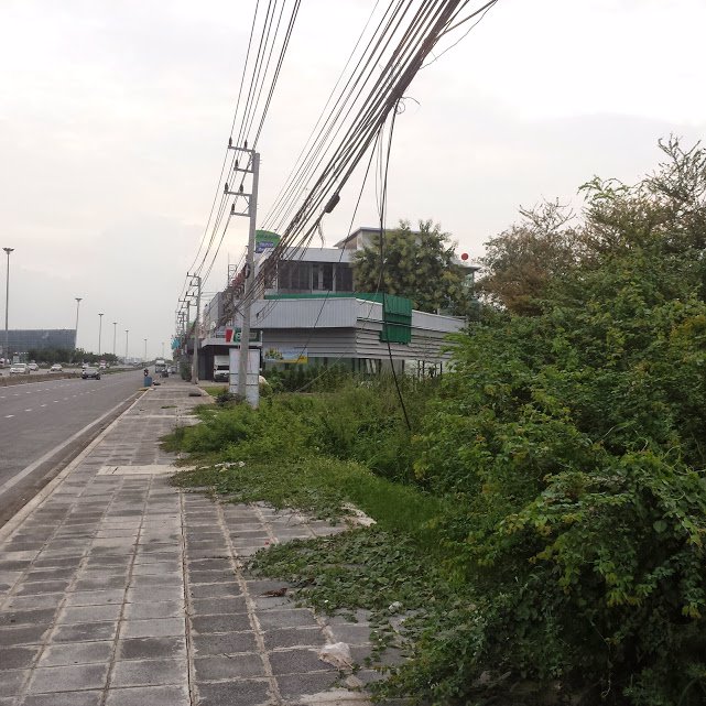 ขายที่ดิน-36-ไร่-ติดถนนพหลโยธิน-ใกล้โรงพยาบาลหนองแค-อหนองแค-จสระบุรี