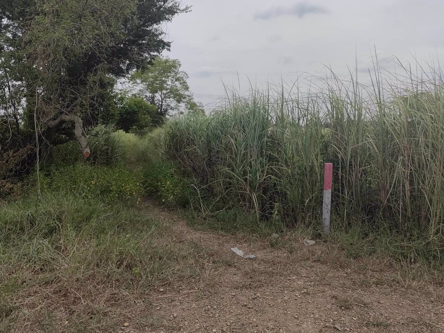 ขายที่ดินราคาถูกต่ำกว่าราคาประเมิน-ถนนพหลโยธิน-กม72-ใกล้เชียงกง-อวังน้อย-อยุธยา-เหมาะทำเกษตร