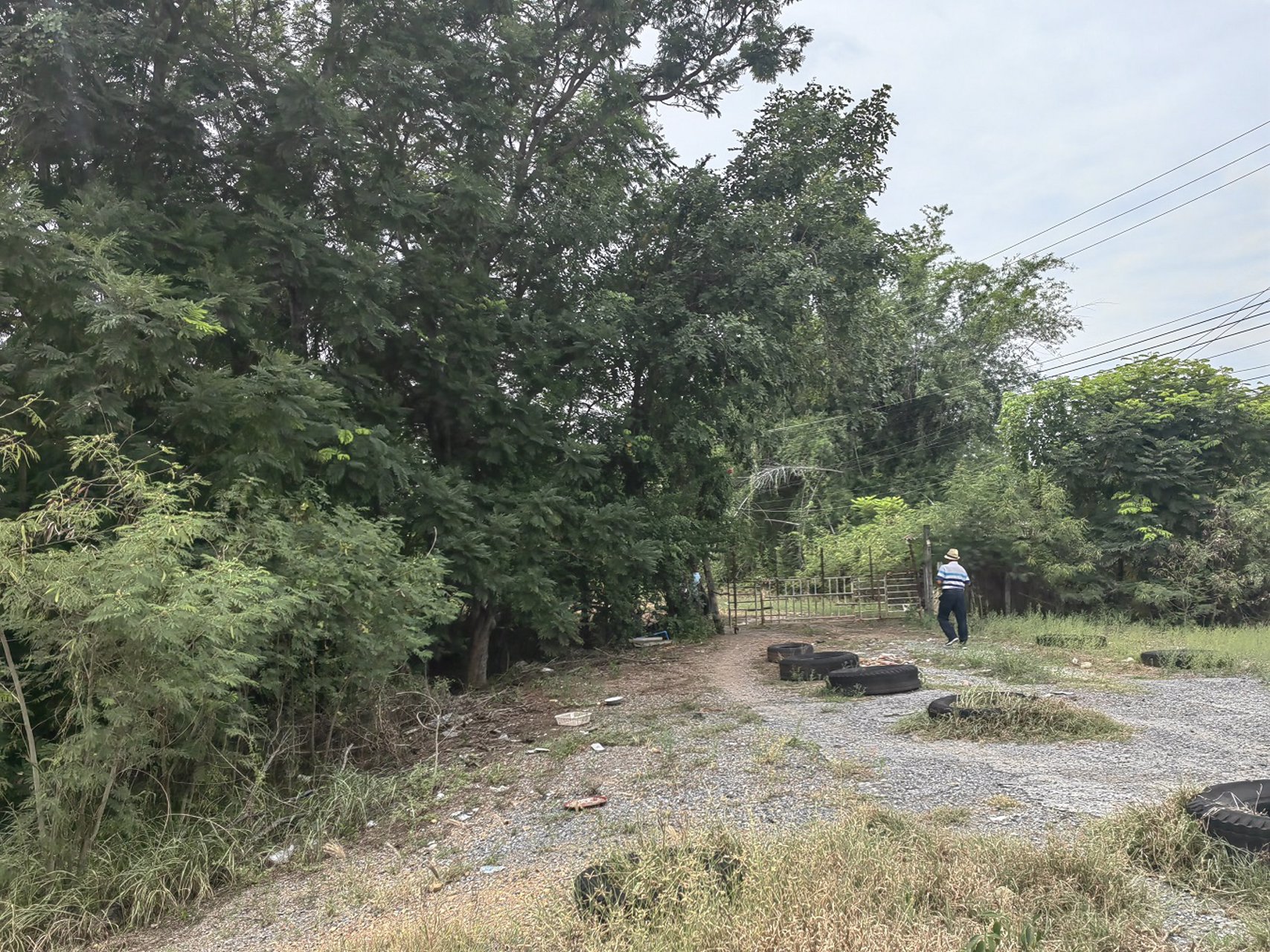 ขายที่ดินราคาถูกต่ำกว่าราคาประเมิน-ถนนพหลโยธิน-กม72-ใกล้เชียงกง-อวังน้อย-อยุธยา-เหมาะทำเกษตร