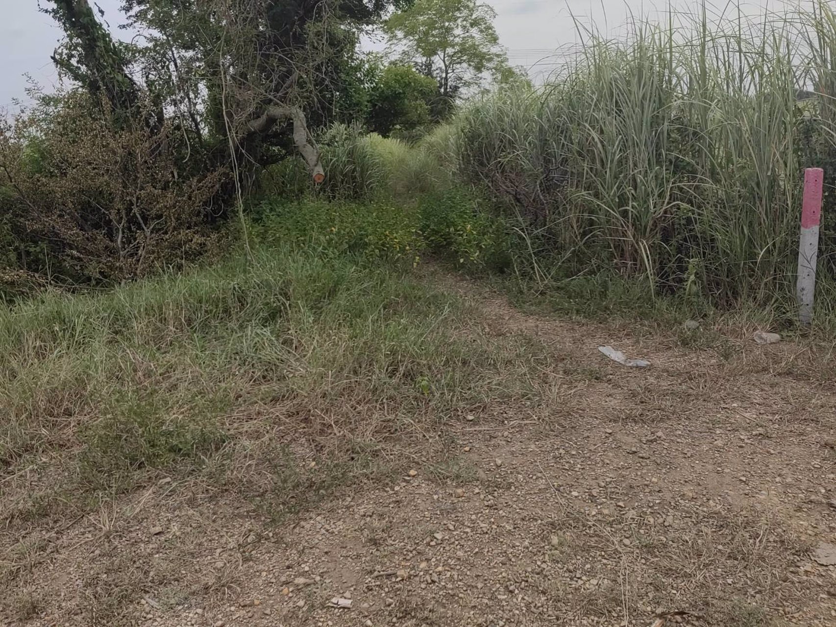 ขายที่ดินราคาถูกต่ำกว่าราคาประเมิน-ถนนพหลโยธิน-กม72-ใกล้เชียงกง-อวังน้อย-อยุธยา-เหมาะทำเกษตร