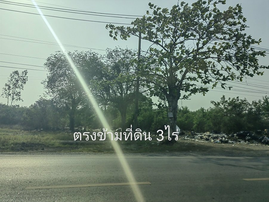 ขายที่ดิน-3-ไร่-ติดถนนร่วมพัฒนา-ใกล้ถนนสุวินทวงค์-ตลำต้อยติ่ง-เขตหนองจอก-เจียระดับ-