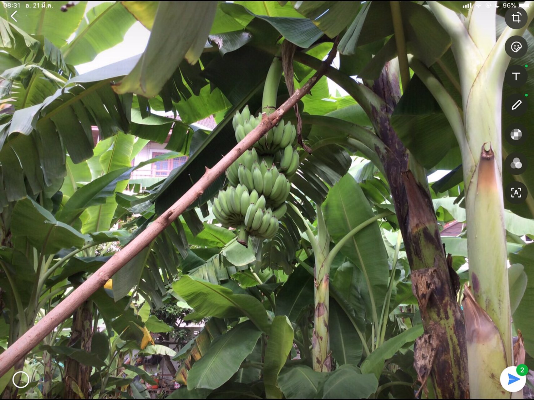 ขายที่ดิน-302-ตรว-ซอยประชาอุทิศ-ซอยนนทบุรี-8-ถนนรัตนาธิเบศร์-ใกล้-mrtสถานีแยกนนทบุรี1