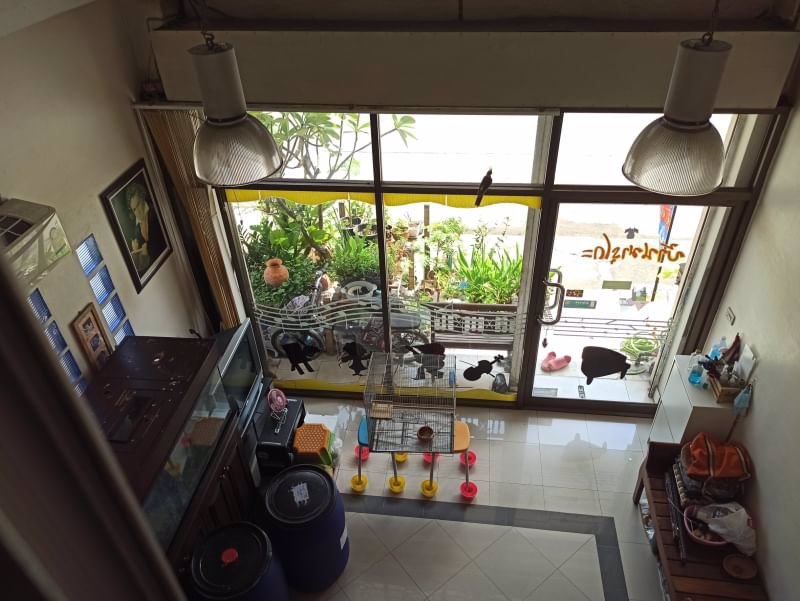 ขายอาคารพาณิชย์-4-ชั้นครึ่ง-ซอยรามคำแหง-กรุงเทพกรีฑา-ใกล้ศูนย์รวมสถานีรถไฟฟ้าแยกลำสาลี