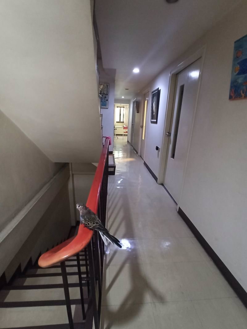 ขายอาคารพาณิชย์-4-ชั้นครึ่ง-ซอยรามคำแหง-กรุงเทพกรีฑา-ใกล้ศูนย์รวมสถานีรถไฟฟ้าแยกลำสาลี