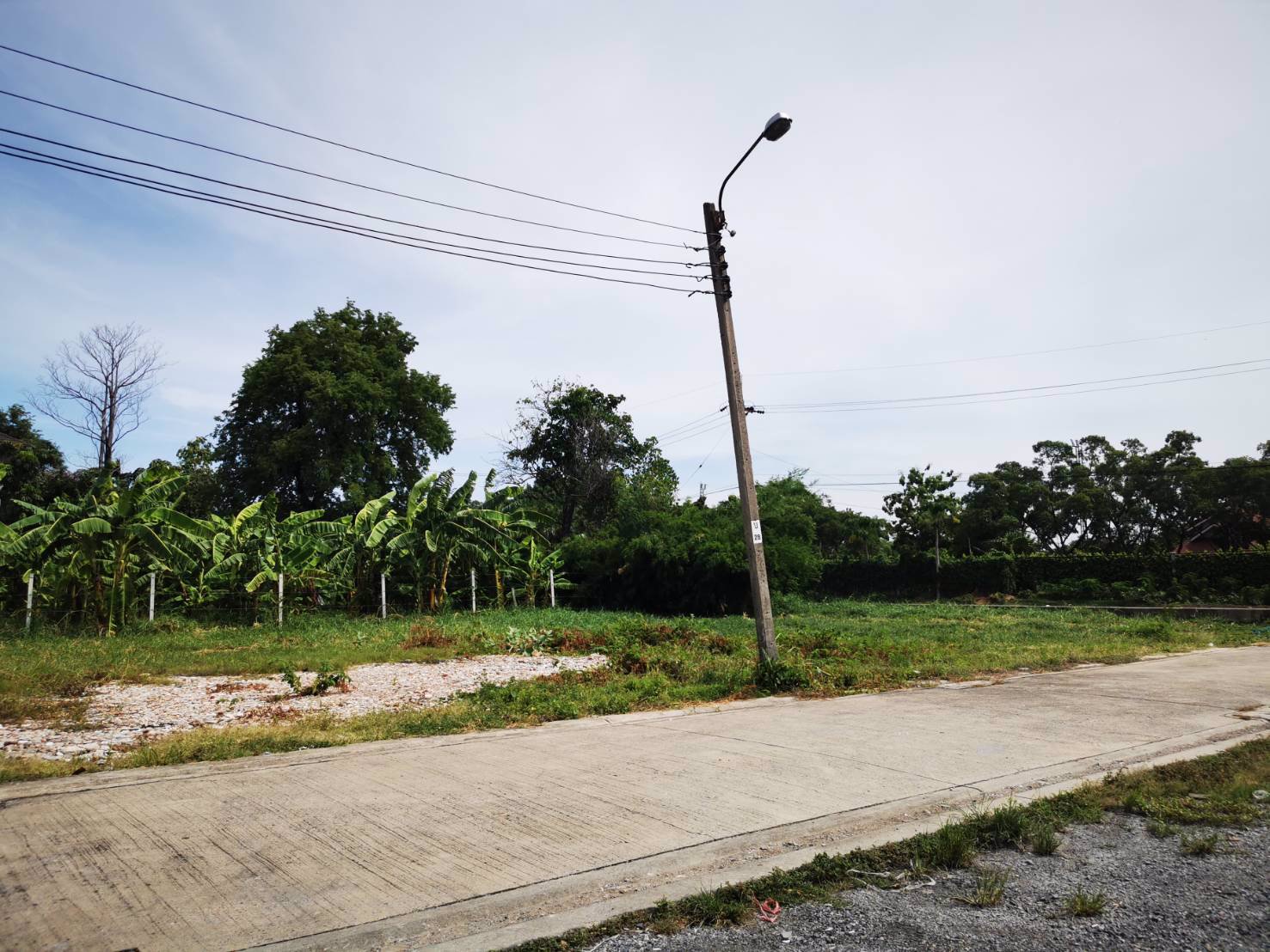 ขายที่ดิน-186-ตรว-ในซอยเฉลิมพระเกียรติ-ร9-ซอย-25-ใกล้สวนหลวงร9-ใกล้สวนหลวงร9