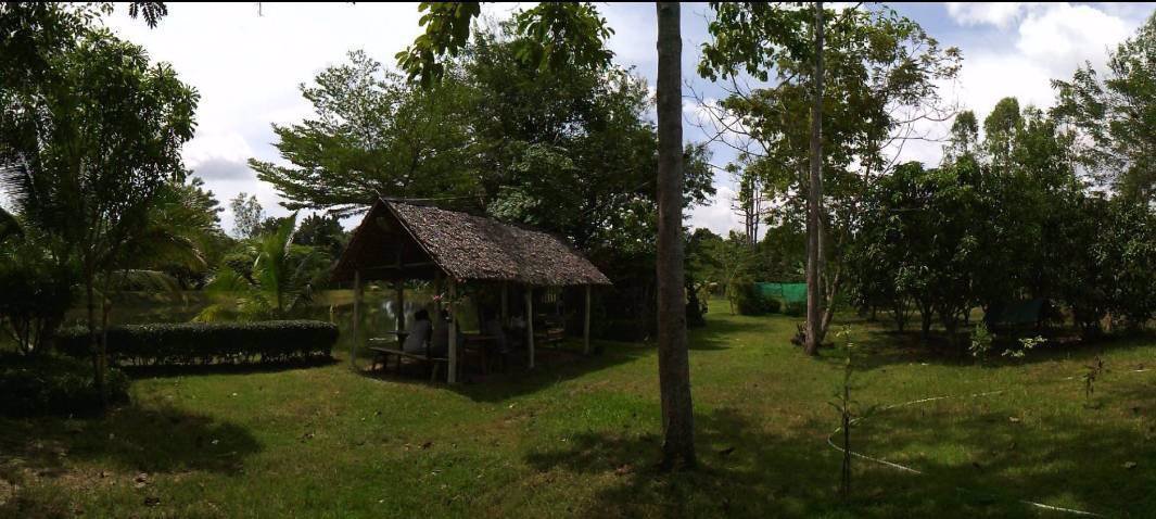 ขายที่ดิน-17-0-08-ไร่-ติดถนนจันทบุรี-สระแก้ว-อเขาฉกรรจ์-ใกล้วัดหนองกระทุ่ม