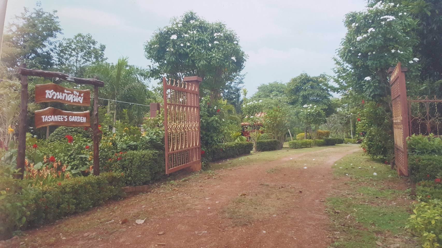 ขายที่ดิน-17-0-08-ไร่-ติดถนนจันทบุรี-สระแก้ว-อเขาฉกรรจ์-ใกล้วัดหนองกระทุ่ม