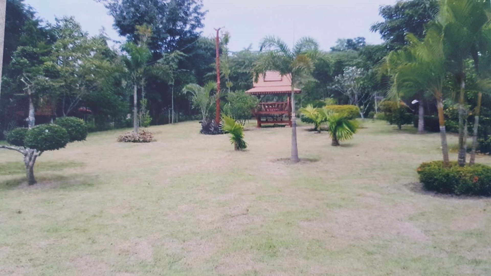 ขายที่ดิน-17-0-08-ไร่-ติดถนนจันทบุรี-สระแก้ว-อเขาฉกรรจ์-ใกล้วัดหนองกระทุ่ม