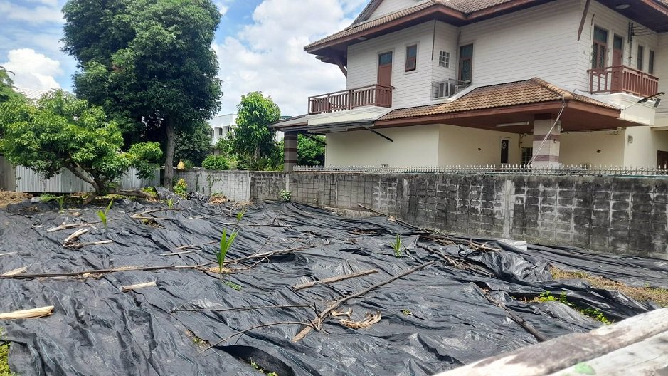 ขายที่ดิน-163-ตรว-แถวสี่แยกพิชัย-ถนนนครไชยศรี-เขตดุสิต-ด้านหลังติดคลองสามเสน-บรรยากาศดี-สงบร่มรื่น