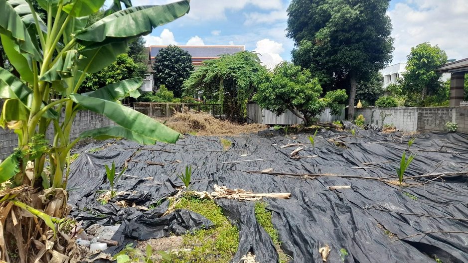 ขายที่ดิน-163-ตรว-แถวสี่แยกพิชัย-ถนนนครไชยศรี-เขตดุสิต-ด้านหลังติดคลองสามเสน-บรรยากาศดี-สงบร่มรื่น