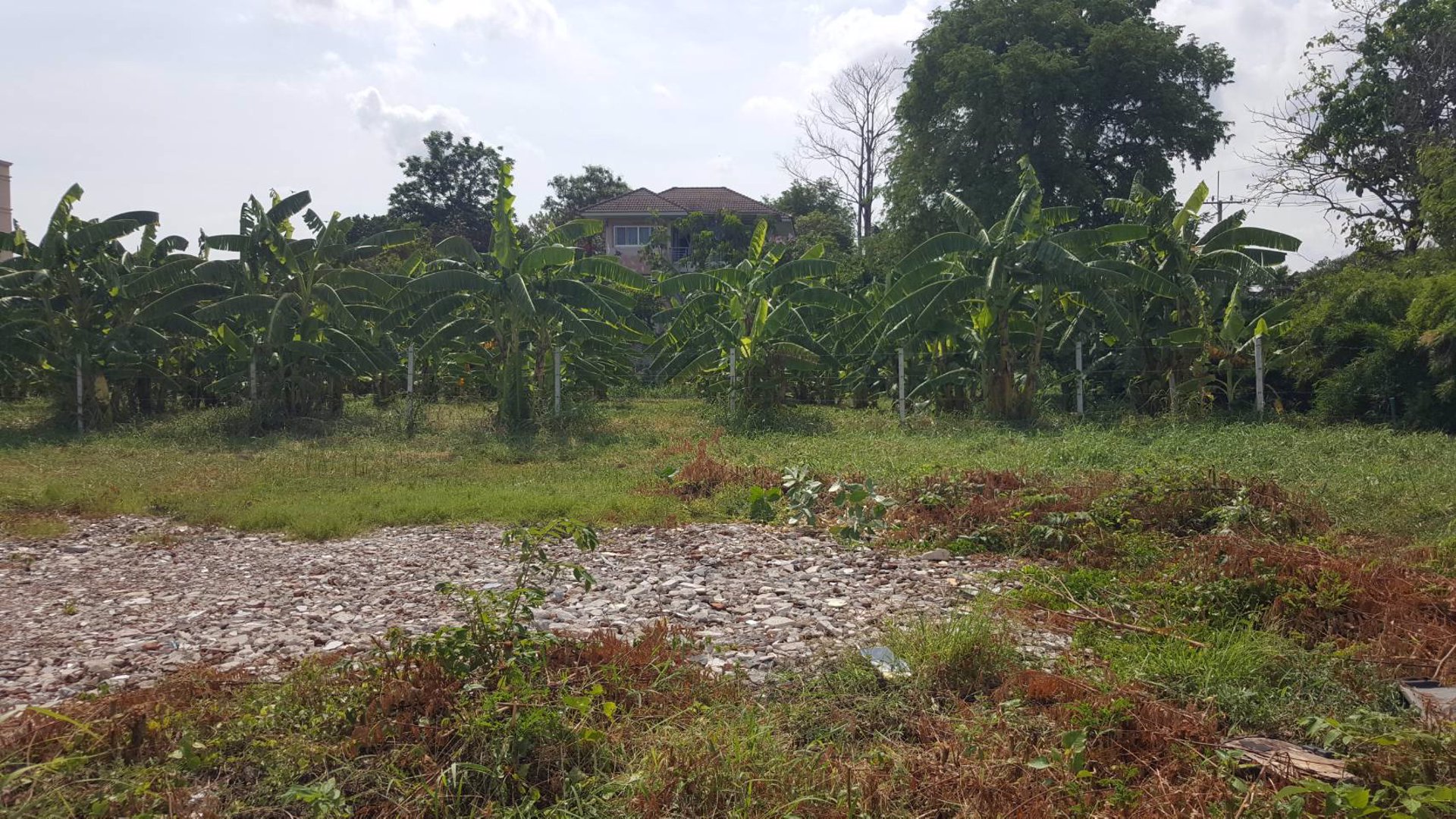 ขายที่ดิน-1075-ตรว-ในซอยเฉลิมพระเกียรติ-ร9-ซอย-25-เข้าซอย-330-ม-ใกล้สวนหลวงร9-ขายราคา