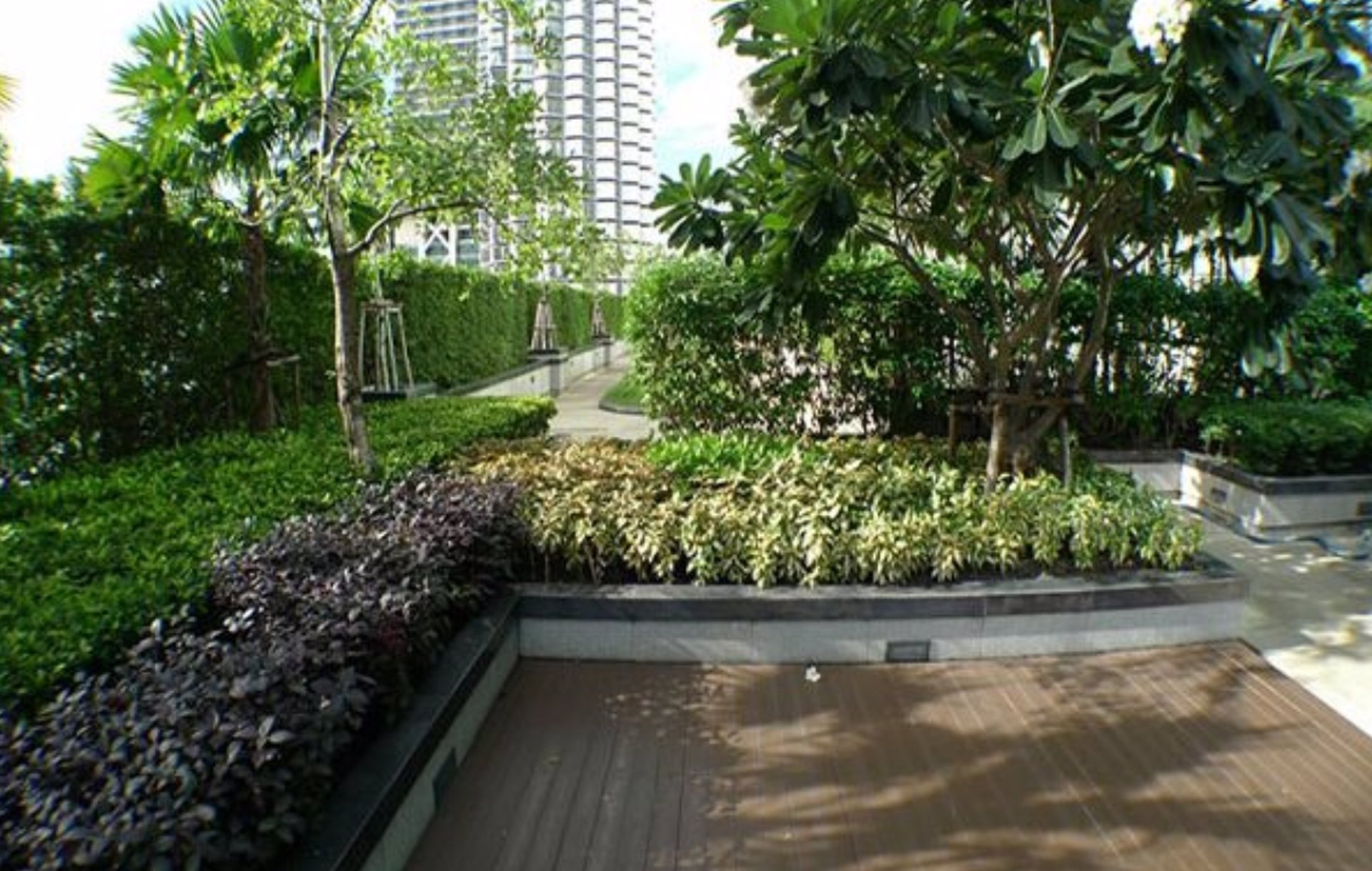 ขายคอนโด-เดอะเทรนดี้-2นอน-2น้ำ-พื้นที่-67ตรม-ชั้น-7-วิวสระว่ายน้ำ