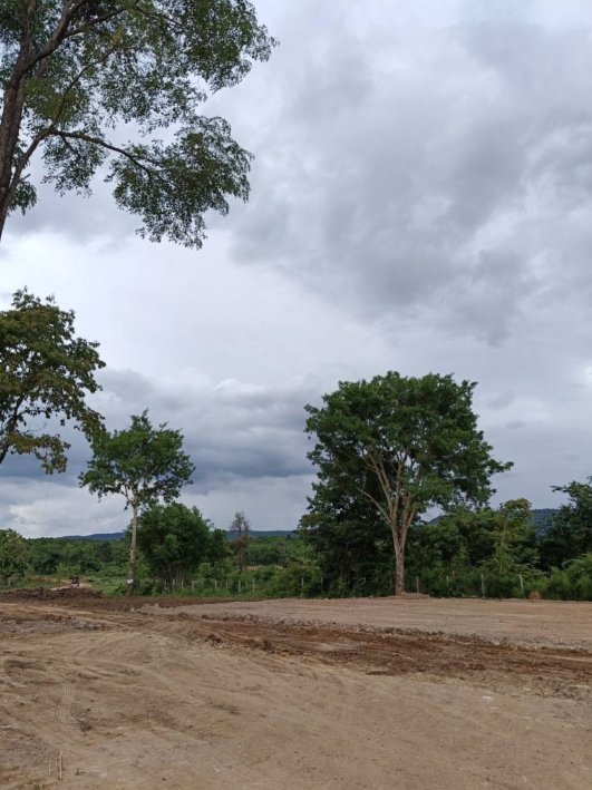 ขายที่ดิน-เนื้อที่-1ไร่-ทางบ้านนาลาดควายไปดอนยาง