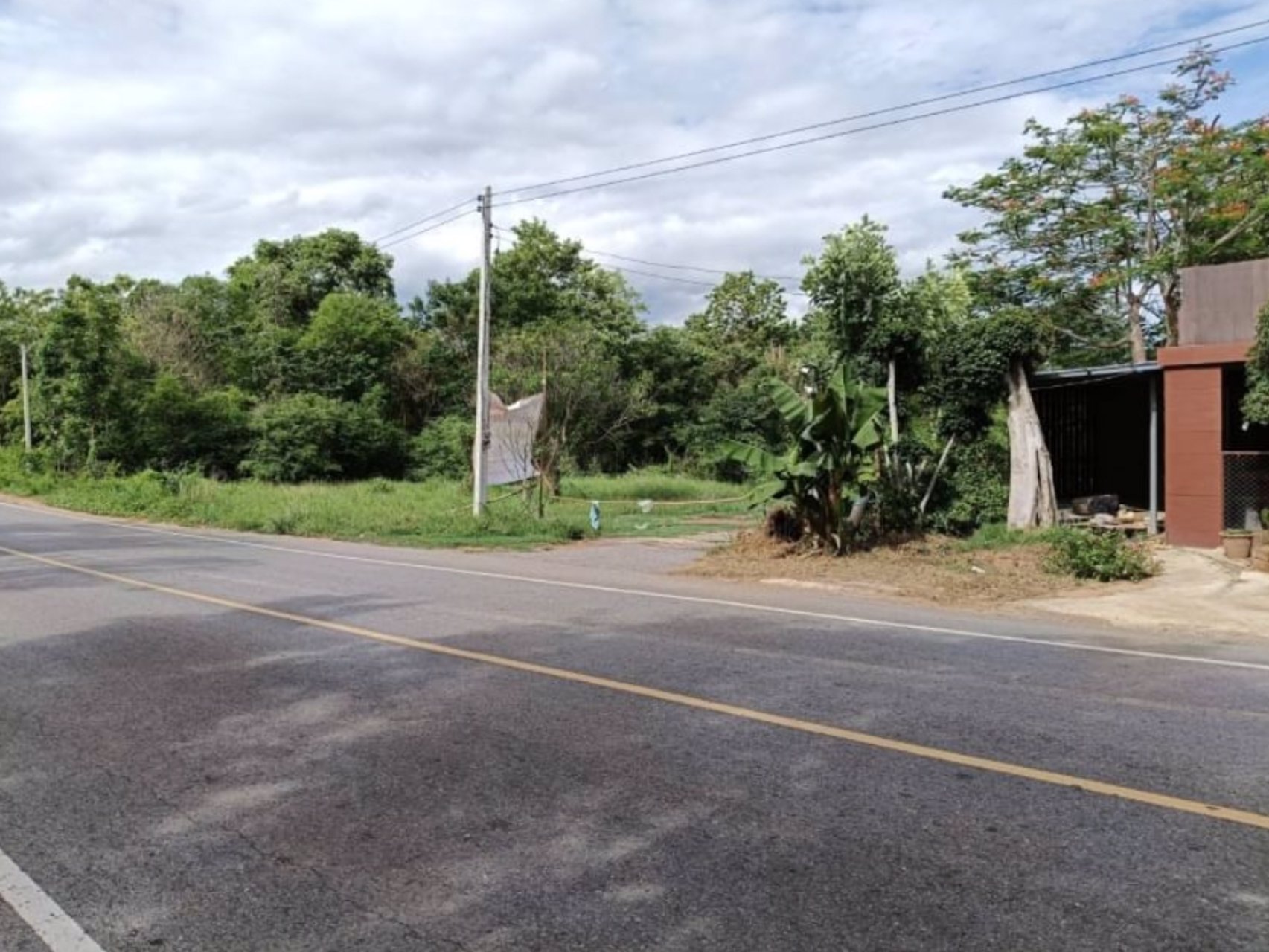 ขายที่ดินเปล่า-6ไร่ครึ่ง-ในเมืองหนองบัวลำภู-มีน้ำไฟฟ้าทำบ้านได้เลย