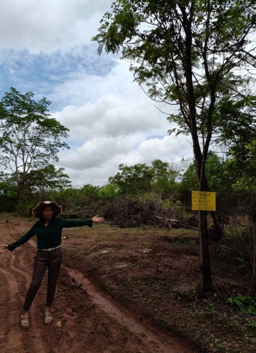 ขายที่ดิน100ตรว-ราคา99000บาท-ผ่อนวัน100บาท-