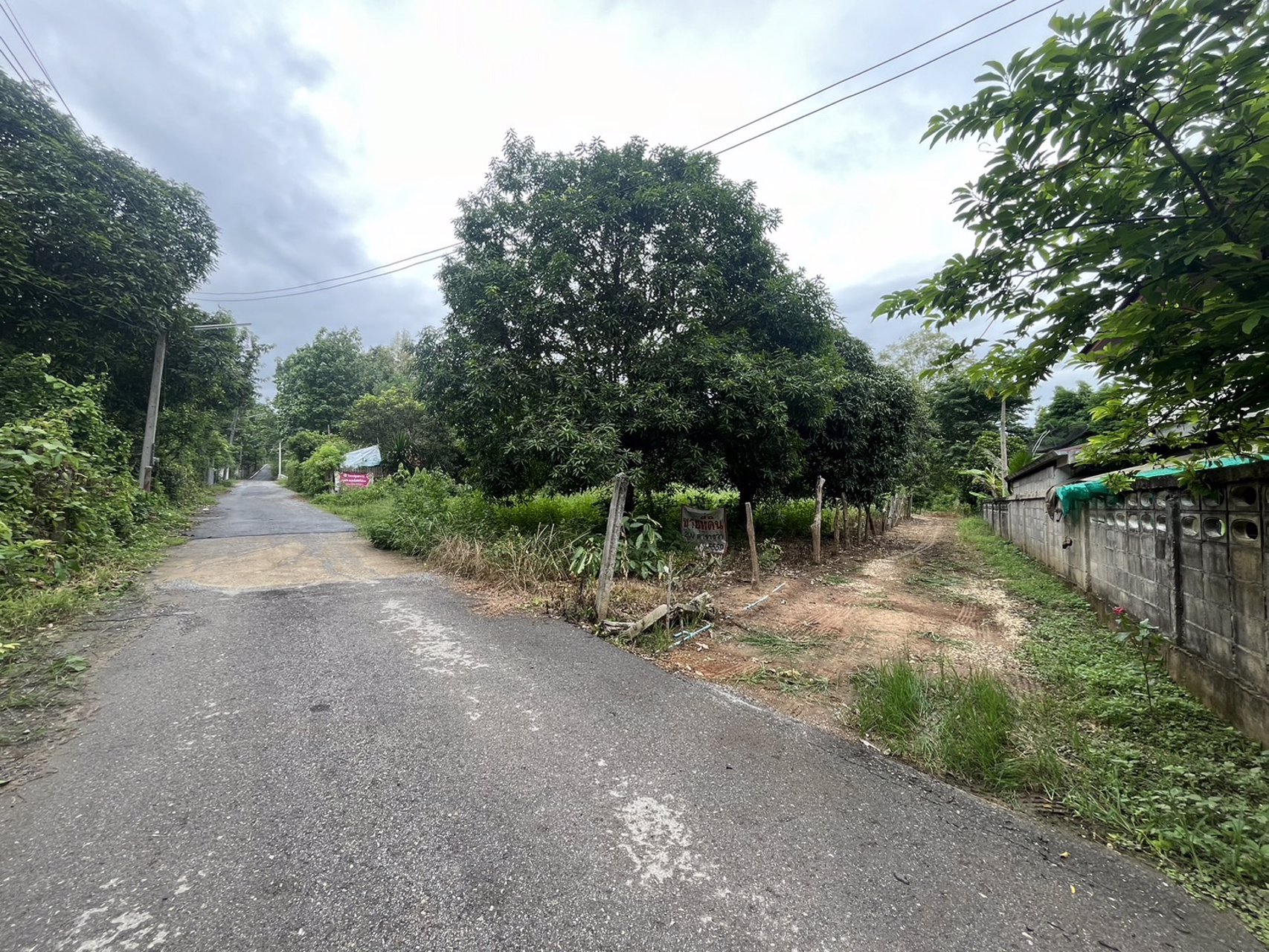 ขายที่ดินเปล่า-เนื้อที่-200-ตารางวา