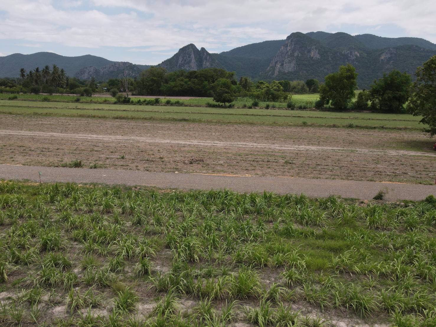 เฟส-w1-โฉนดพร้อมโอน-เนินศาลา-โกรกพระ-นครสวรรค์ค่า