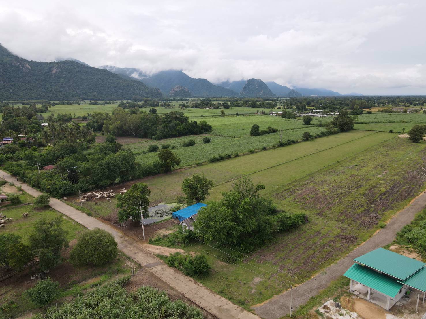 เฟส-w1-โฉนดพร้อมโอน-เนินศาลา-โกรกพระ-นครสวรรค์ค่า