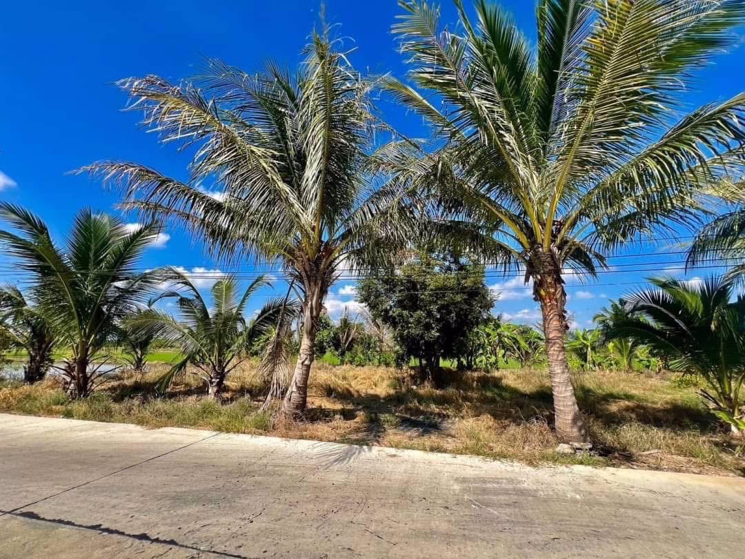 ที่ดินคลอง11-ธัญบุรีทำเลดี