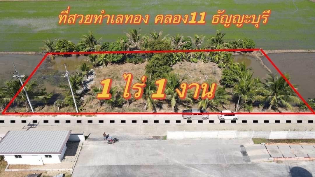 ที่ดินคลอง11-ธัญบุรีทำเลดี