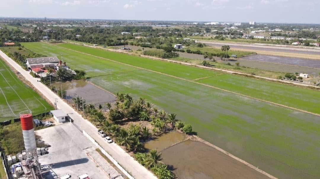 ที่ดินคลอง11-ธัญบุรีทำเลดี